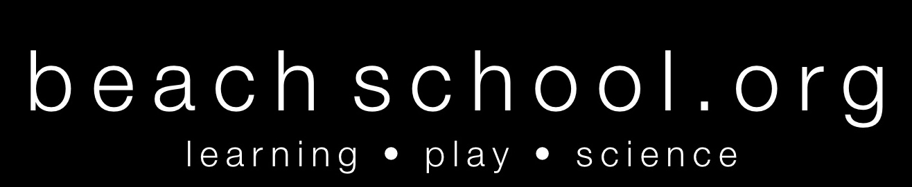 beach school logo